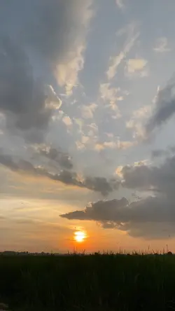 Aku cinta padamu
