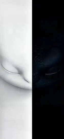 8K live wallpaper 