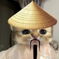 Chinese cat v2