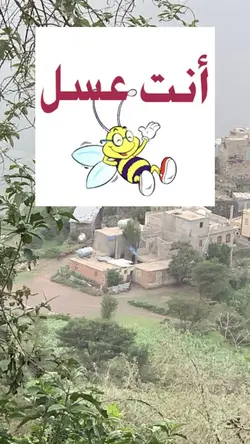 شمبقبق