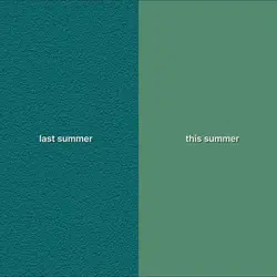 Trend summer