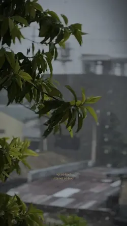 Rain