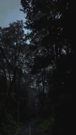 vibes dark