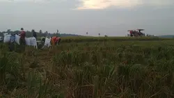Harus Kuat Kawan