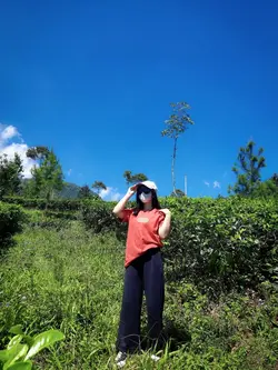 Trecking