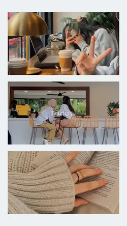 3 PIC/VIDEO 