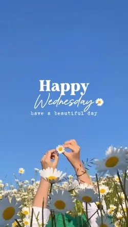 Happy Wednesday 