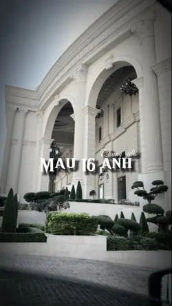 Mẫu 16 ảnh