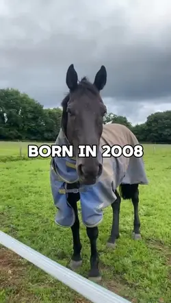 Born in 1964