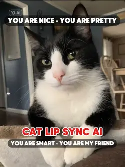 CAT LIP SYNC AI