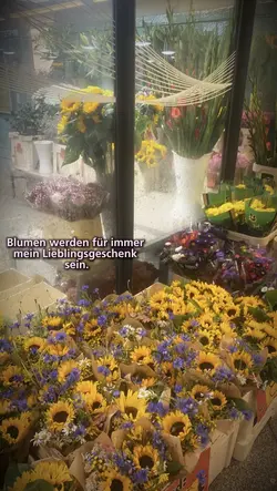 Blumen😻