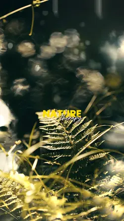 Nature Slow Motion