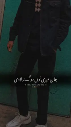 Jan Meri no roog