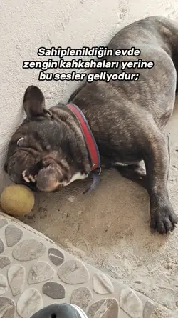 GÜZEL NURTENİMMM