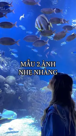 Mẫu 2 ảnh
