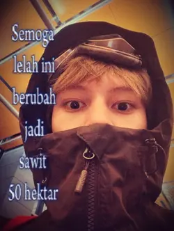 sawit 50 hektar