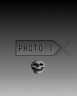 SKULL FREEZED