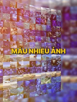 33ảnh
