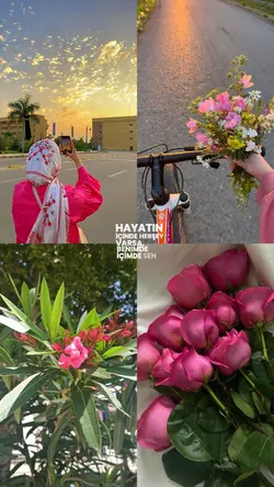4 fotoğraf şablon