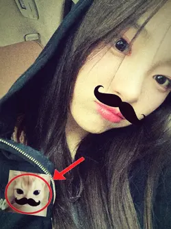 kucing kumis