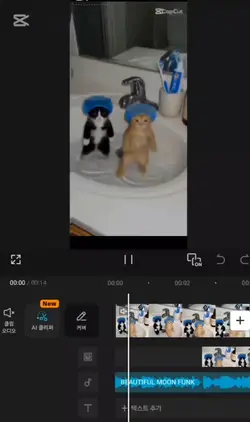 캡컷프로 ㅊㅇ