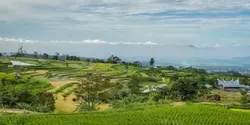 Jago Minang