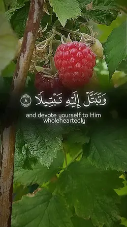 Quran template 