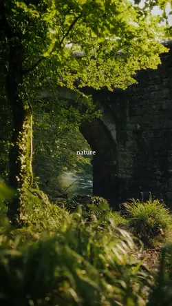 nature, therapy