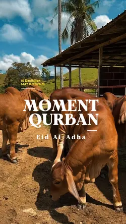 Qurban Idul Adha