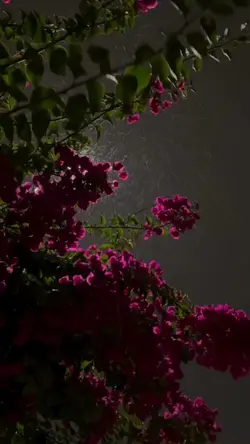 Slowmotion edit
