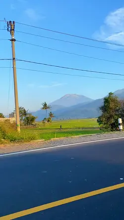 pisahXsebatas teman