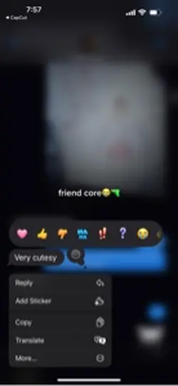 leyla core🥴