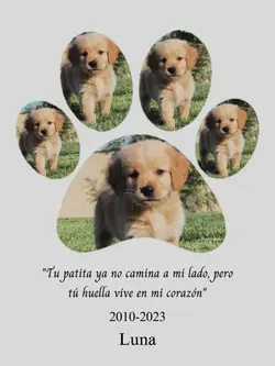 Vives en mi corazón 