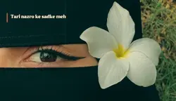 Crush eye 