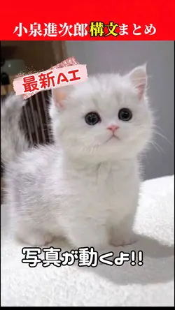 小泉進次郎構文まとめ