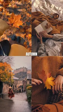 autumn story 