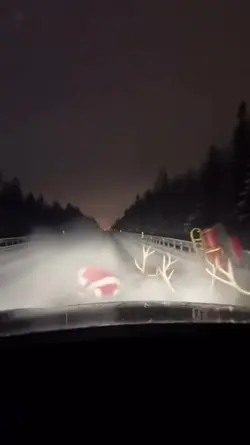 Santa claus 