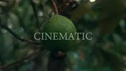 CINEMATIC TRAILER
