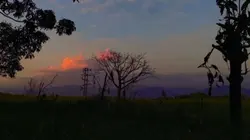 Color Grading Templa