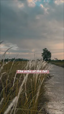 The echo of the fall