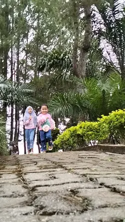 Bintang|anima