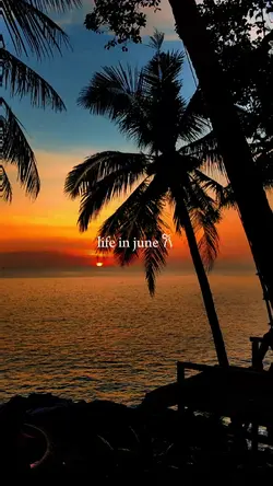 life in june