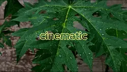 cinematic
