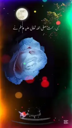 Zafar Jani 