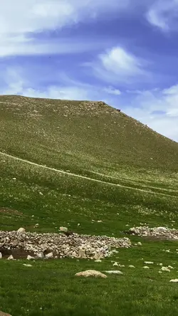 Şahgül Yaylası