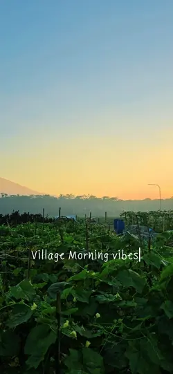 Village Morning vibe