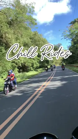 Travel buddy
