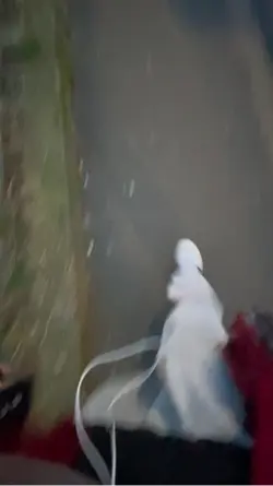 Reverse vidéo ??