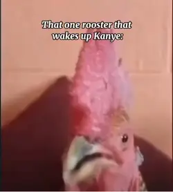Kanye’s rooster 😔😭🫩