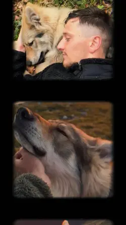 My dog moments